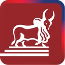 IndusInd General Insurance